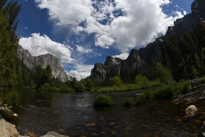 DSC_4350 (Large).JPG